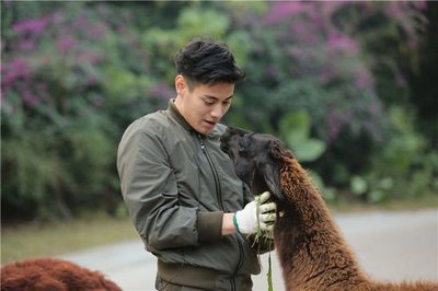 《奇妙的朋友》 收視蟬聯冠軍，飼養員與動物共成長