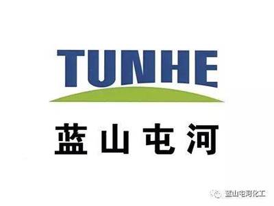 藍山屯河聚酯公司榮獲“自治區綠色工廠”稱號，推動綠色可持續發展